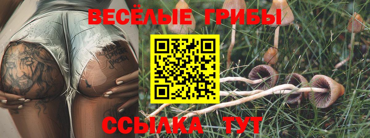 Псилоцибиновые грибы Psilocybe  Вход с VPN  Ефремов 