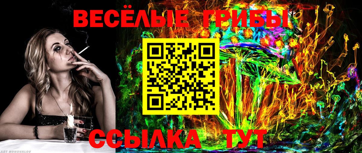 Псилоцибиновые грибы мухоморы Ефремов